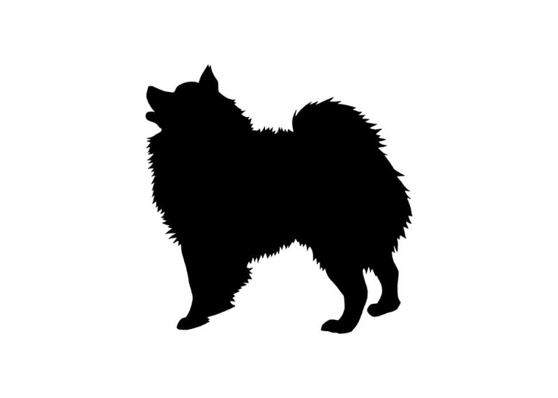 Шпиц силуэт
