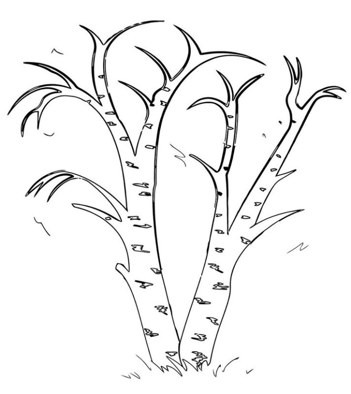 Раскраска дерево без листьев для детей