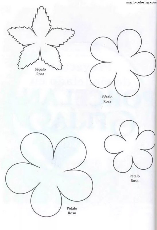 Шаблон пятилистника для цветка из фоамирана