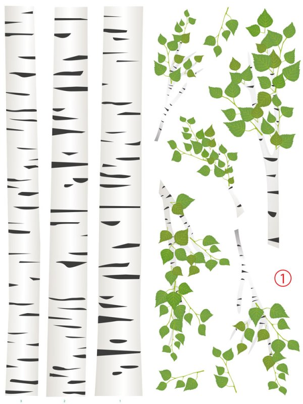 Ствол березы