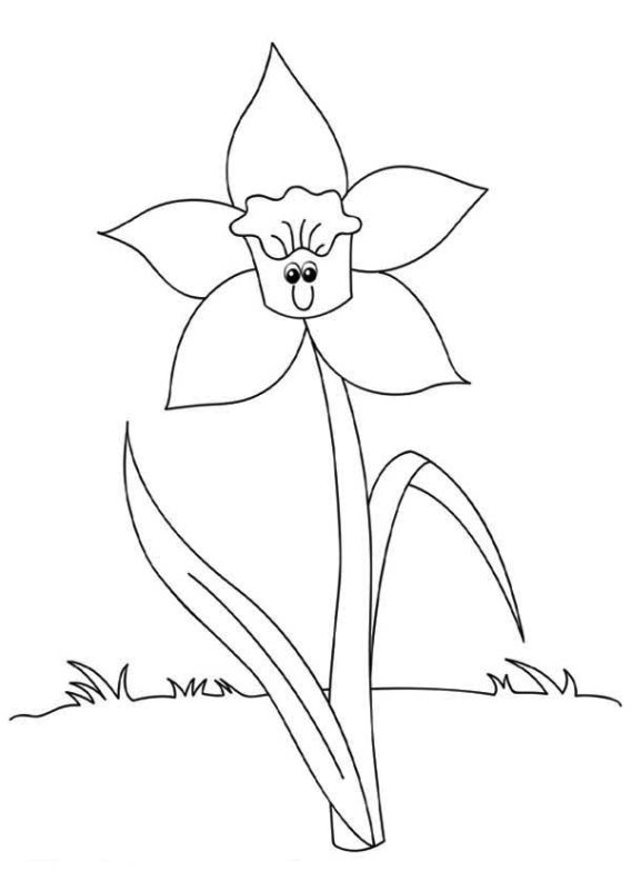 Нарцисс раскраска для детей