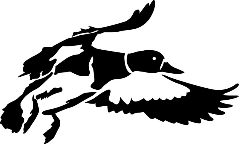 Силуэты диких уток