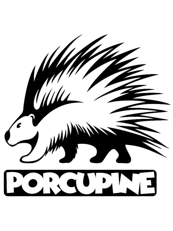Дикобраз для раскрашивания