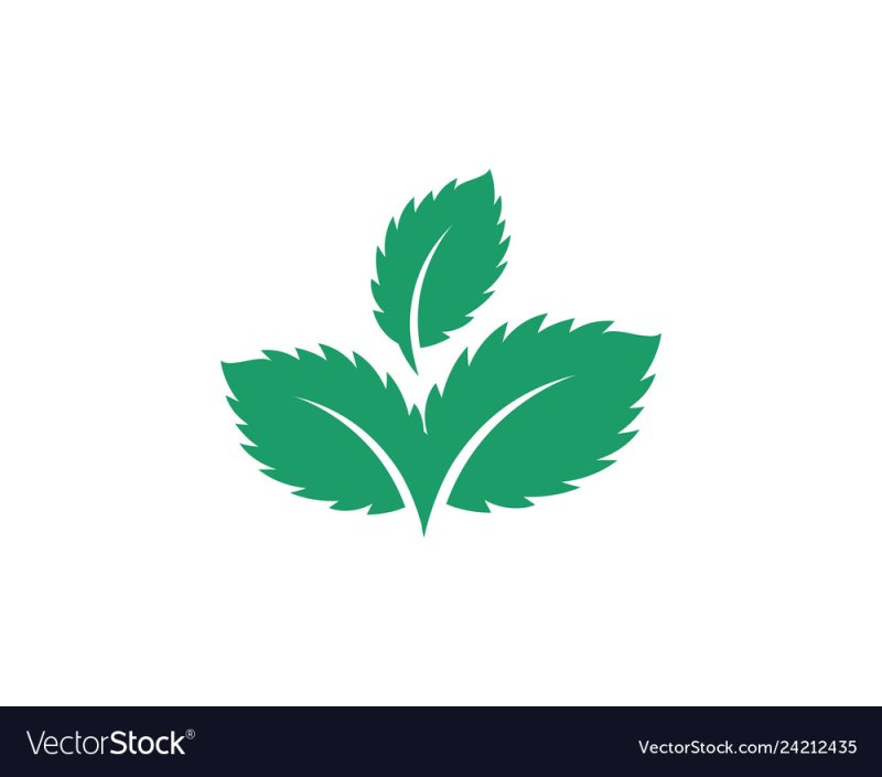 Мята значок