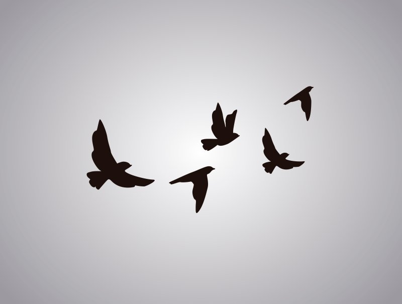 Стая птиц трафарет