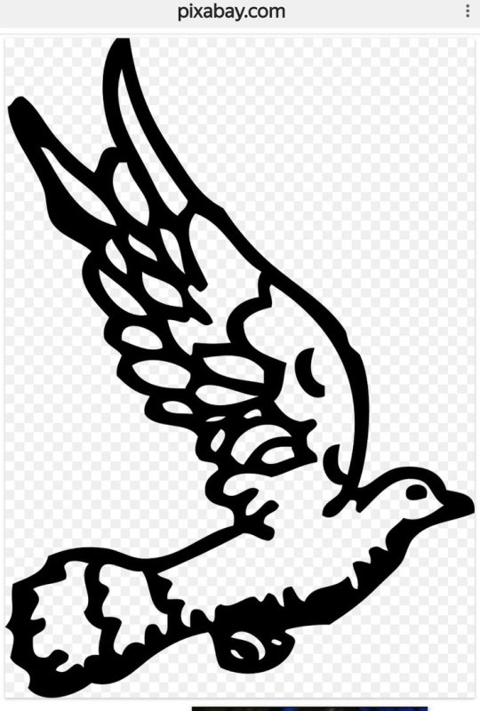 Голубь трафарет