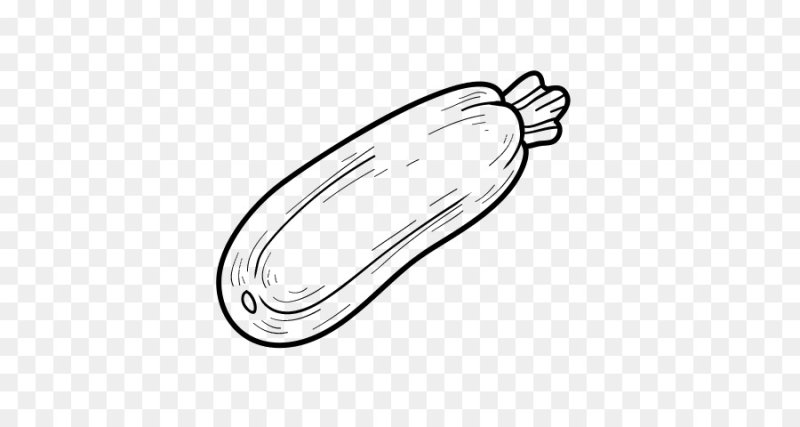 Раскраска овощи кабачок