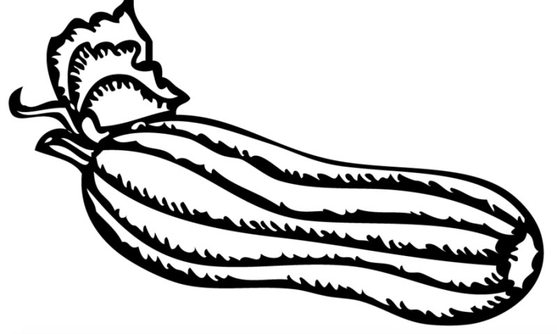 Кабачок раскраска