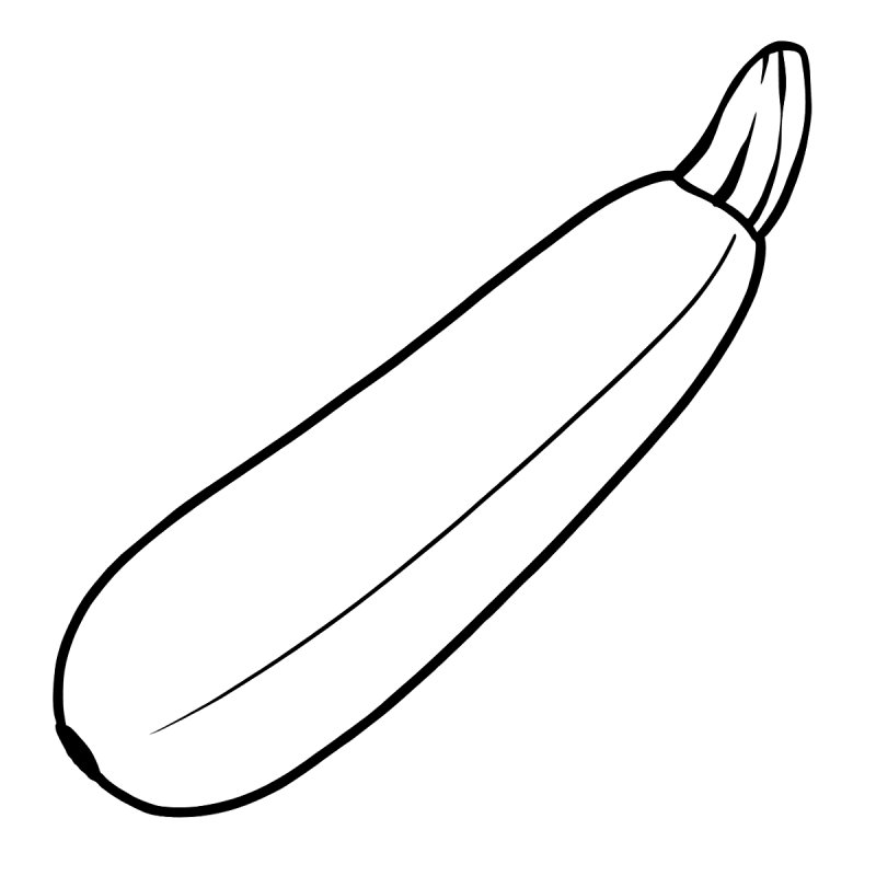 Кабачок раскраска для малышей