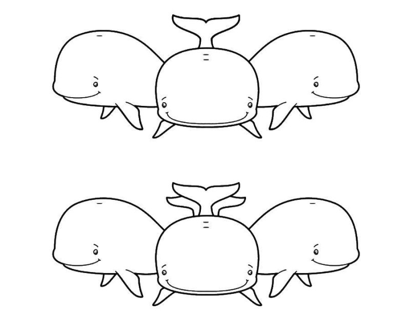 Рисунок 3 кита