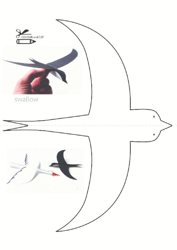 Выкройка ласточки из бумаги