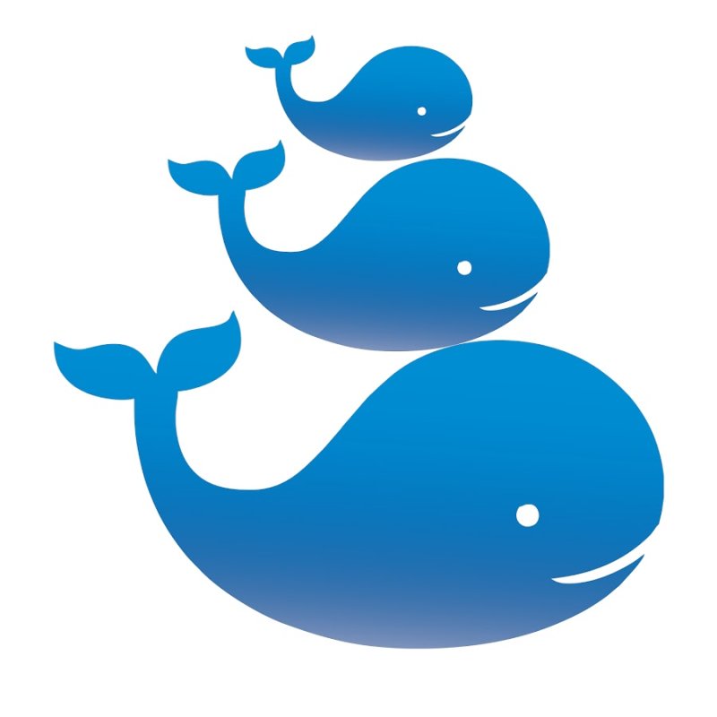 Три кита клипарт