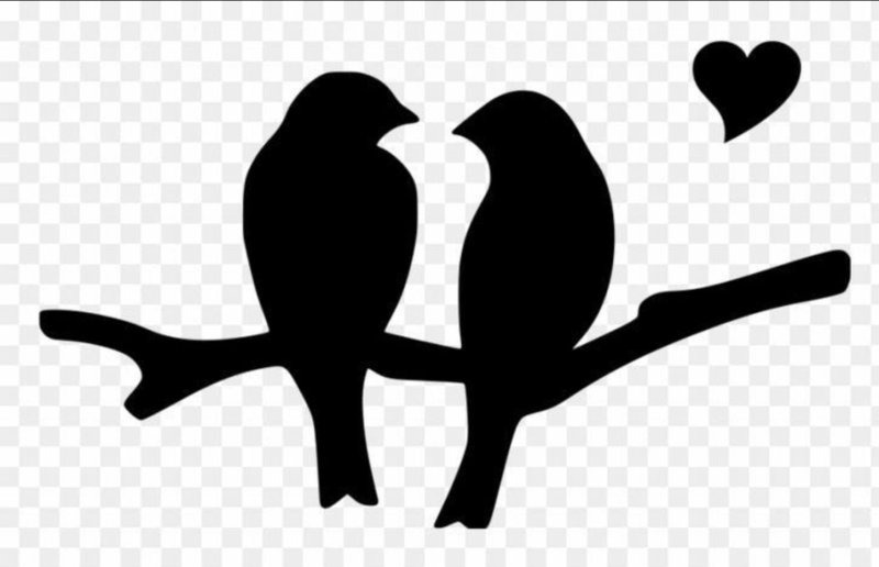 Черный силуэт птицы