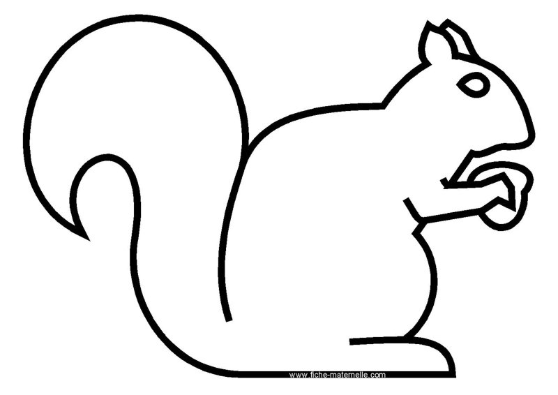 Белочка трафарет для вырезания