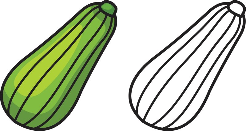 Цукини раскраска для детей
