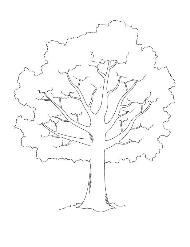 Трафарет "дерево"
