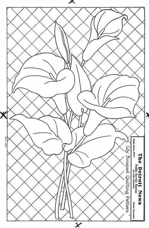 Лилии кинусайга