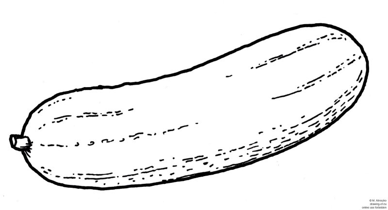 Контур огурца для раскрашивания