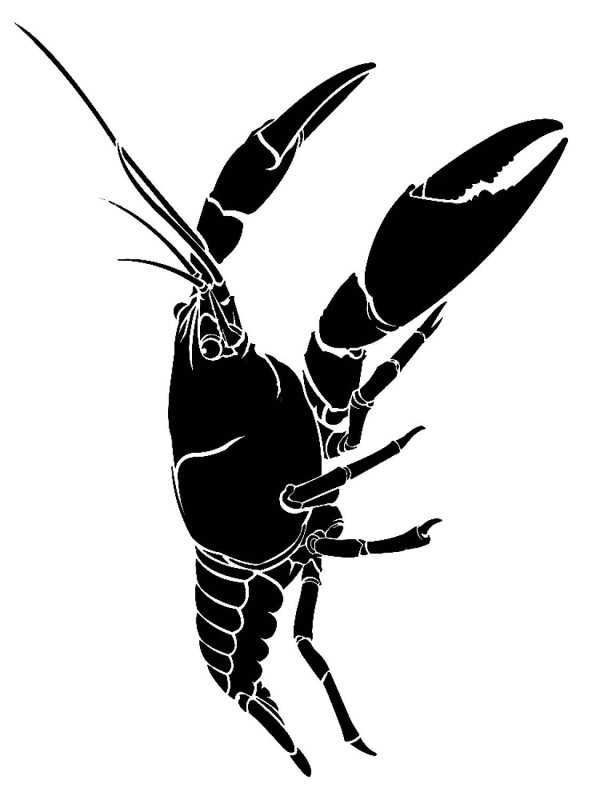 Crawfish PNG