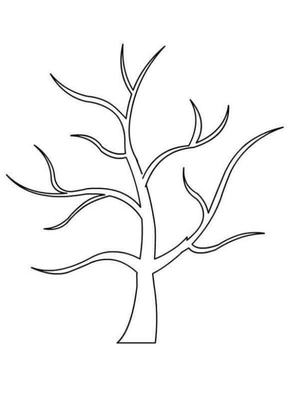 Ствол дерева для аппликации