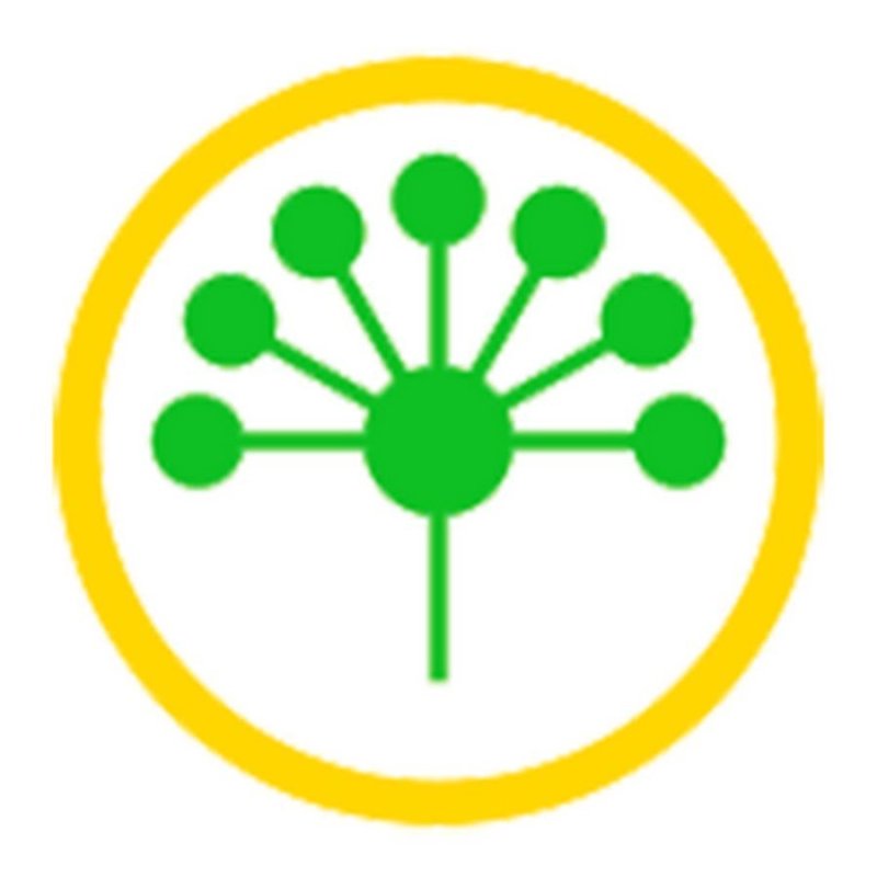 Символ Башкирии цветок курая