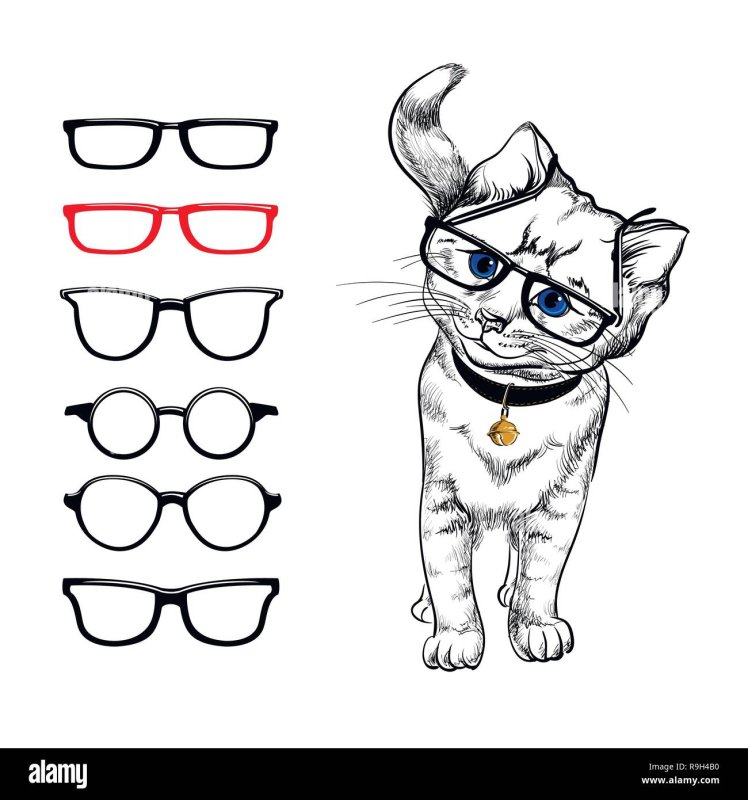 Котик в очках раскраска