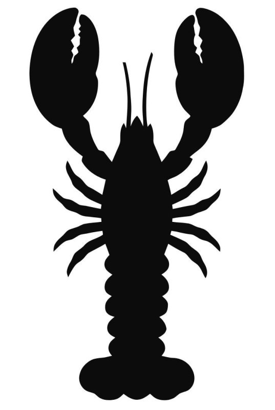 Рак, трафарет карандашом