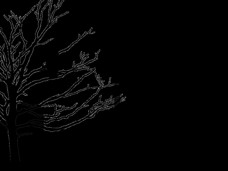 Кладбище силуэт