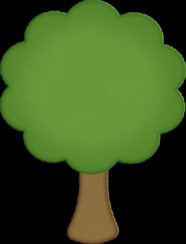 Дерево яблоня без яблок