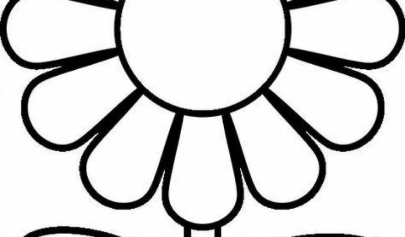 Ромашка раскраска