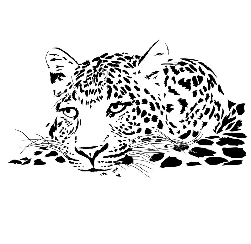 Трафарет на стену тигр