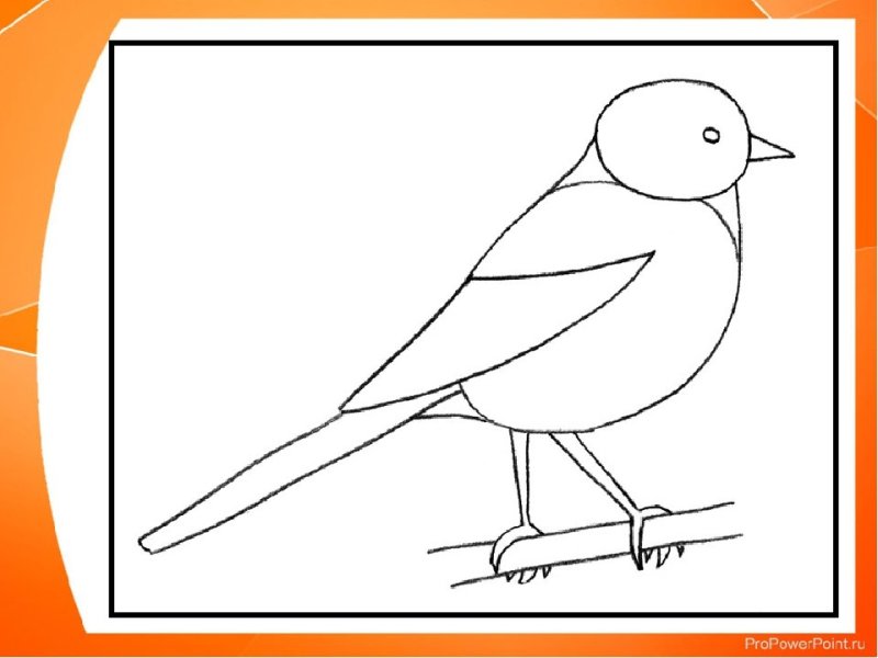 Трафарет синички для рисования