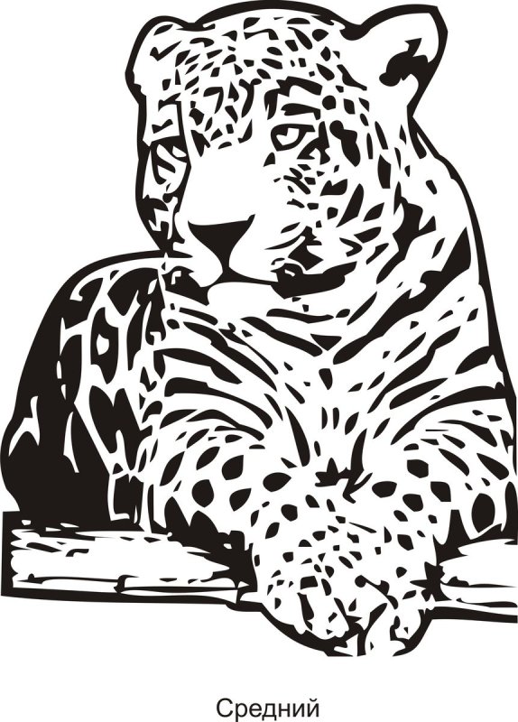 Трафареты. Животные