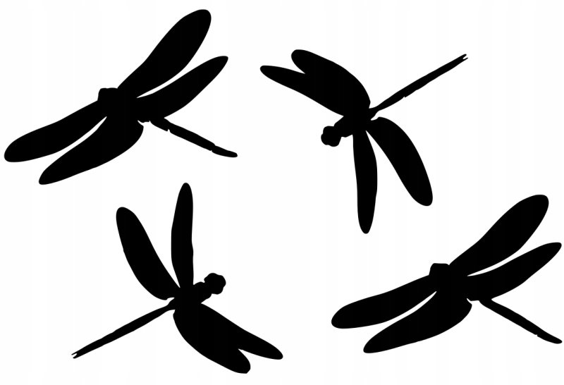 Стрекоза картинка