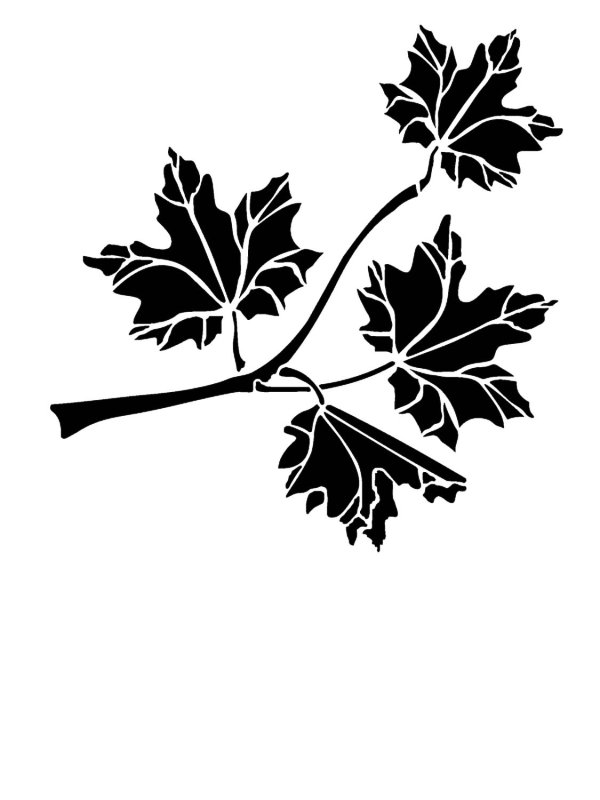 Кленовая ветка