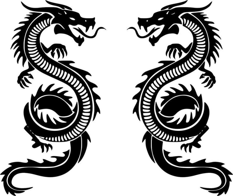 Дракон Сюаньлун тату