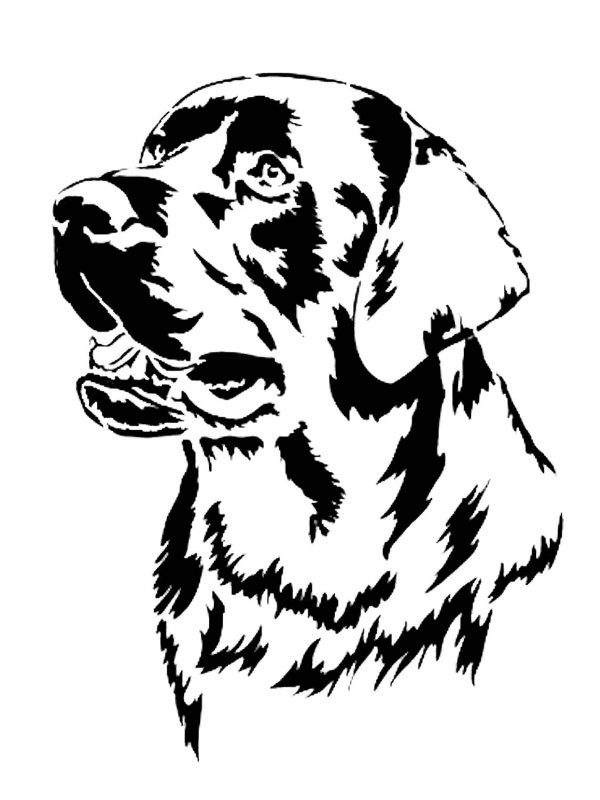 Выжигание по дереву животные