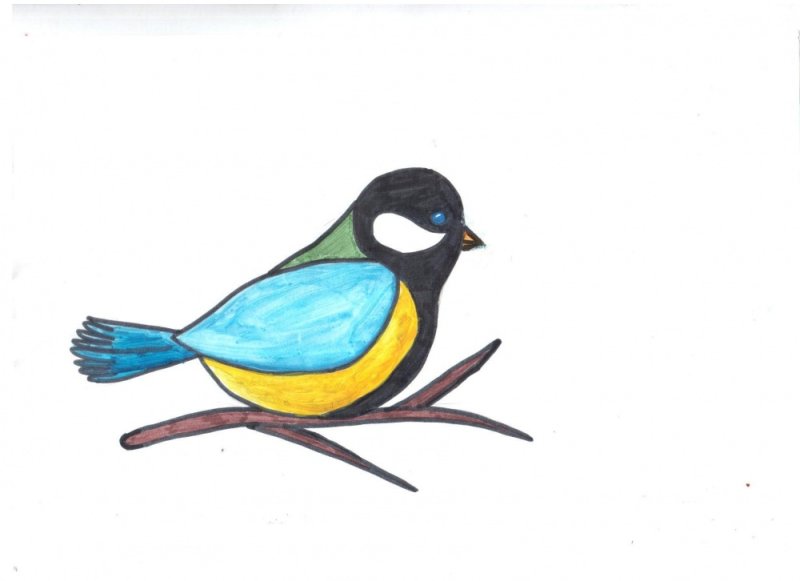 Синичка раскраска для детей