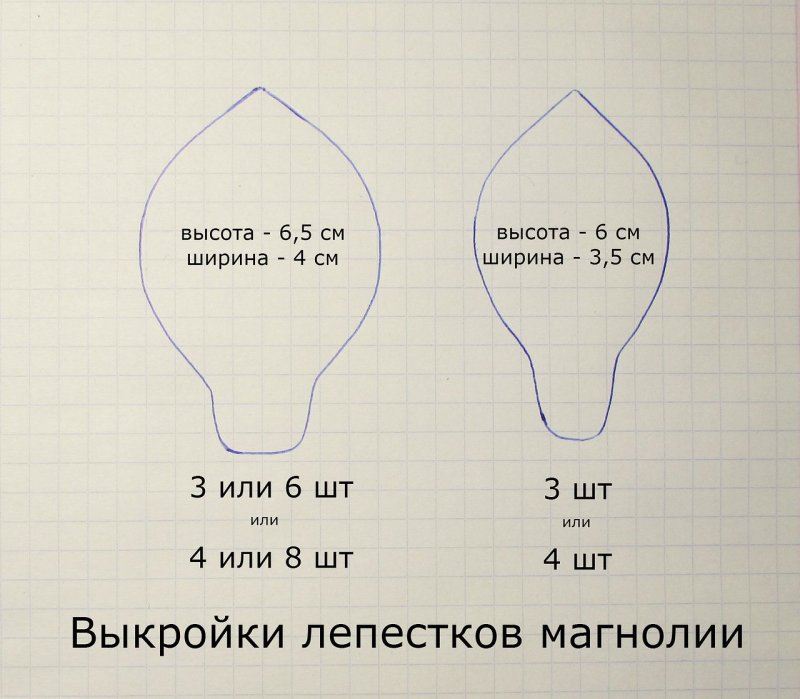 Трафарет лепестков