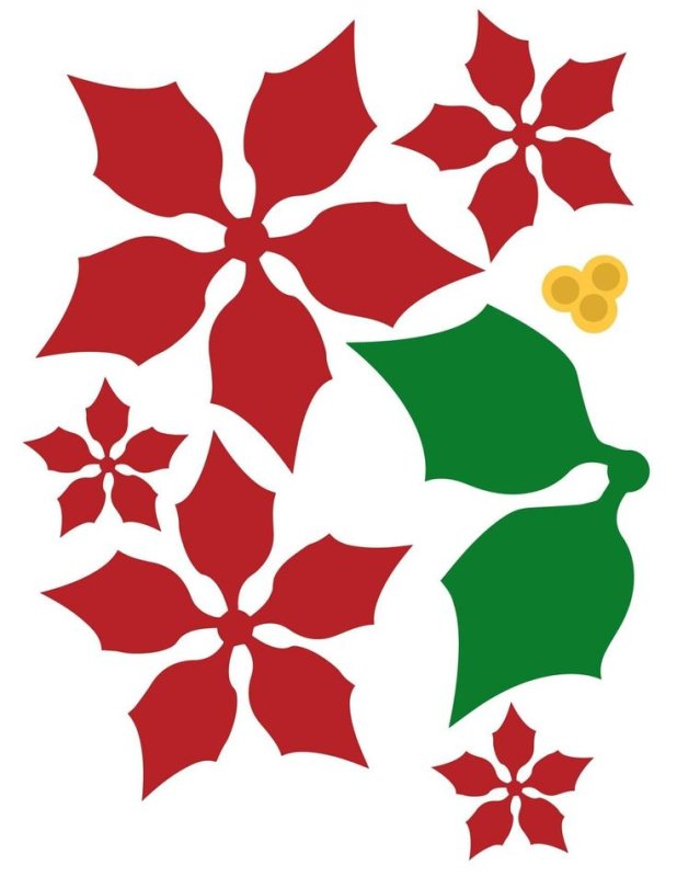 Рождественский цветок пуансетия