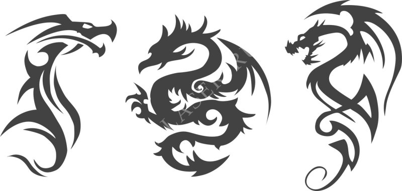 Дракон тату вектор