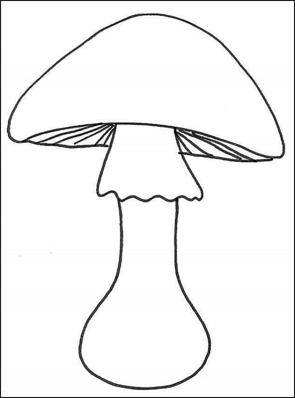 Бледная поганка и мухомор раскраска