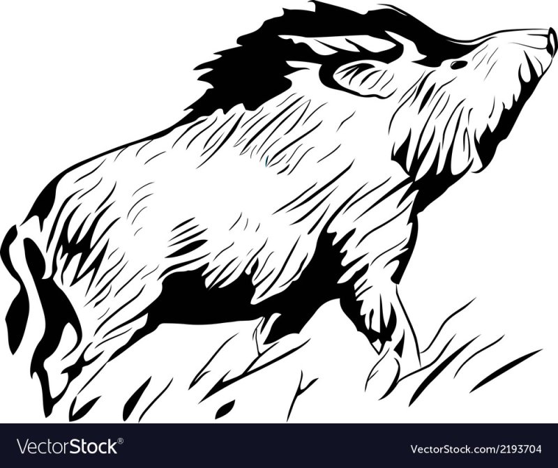 Трафарет дикого кабана
