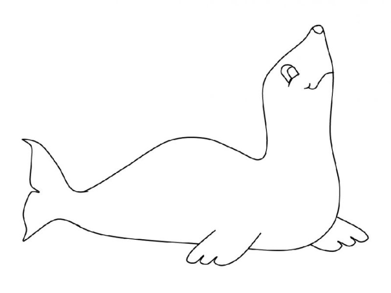 Аппликация тюлень