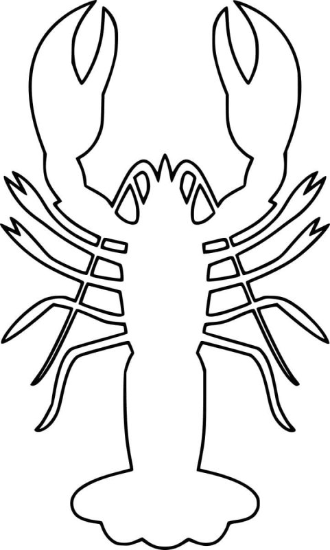 Омар раскраска