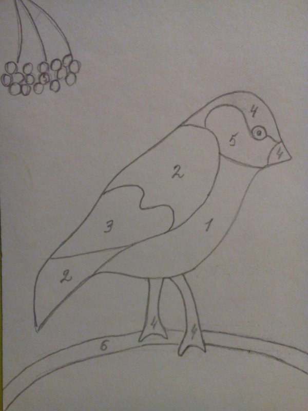 Рисование перелетные птицы подготовительная группа