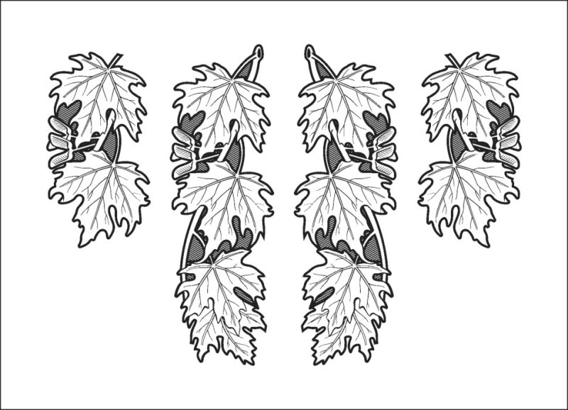 Листья эскиз