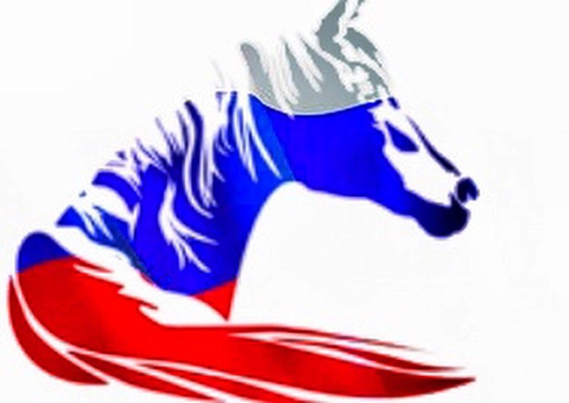 Флаг России лошади
