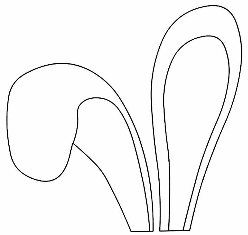 Уши зайца раскраска для детей