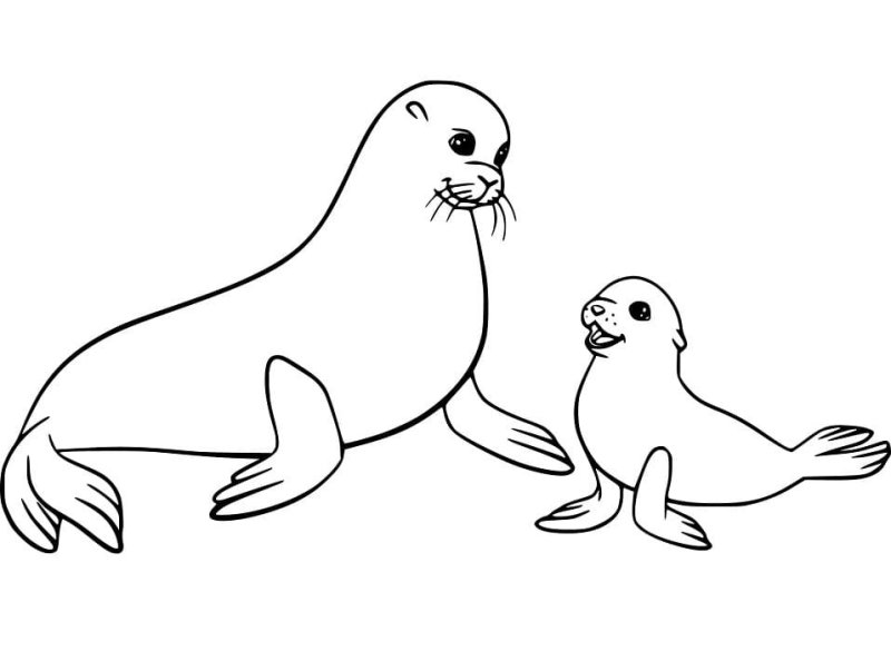 Трафарет тюленя для рисования